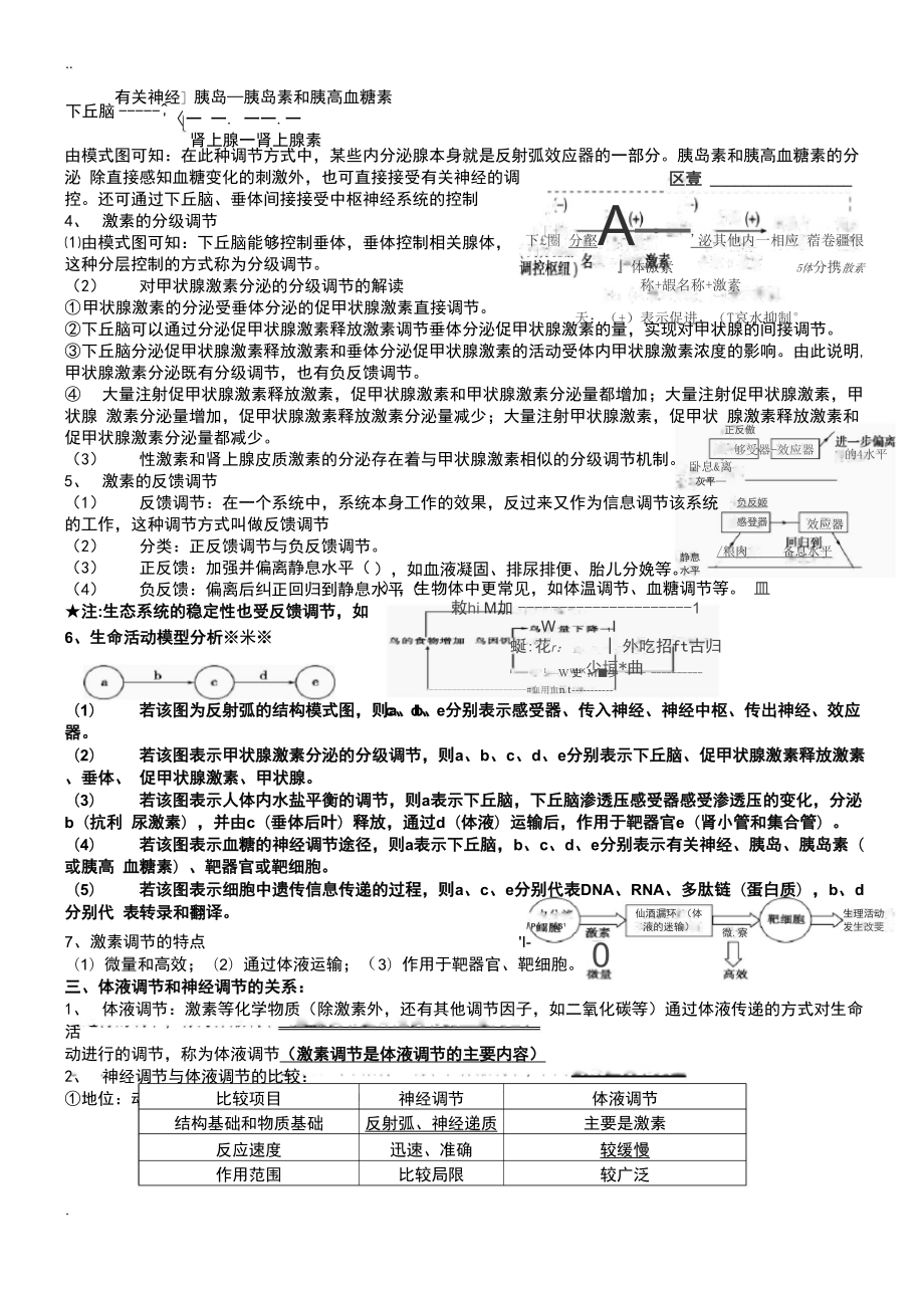 体液调节知识点.docx_第3页