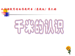 苏教版小学三年级下册数学《认识千米》课件PPT.ppt