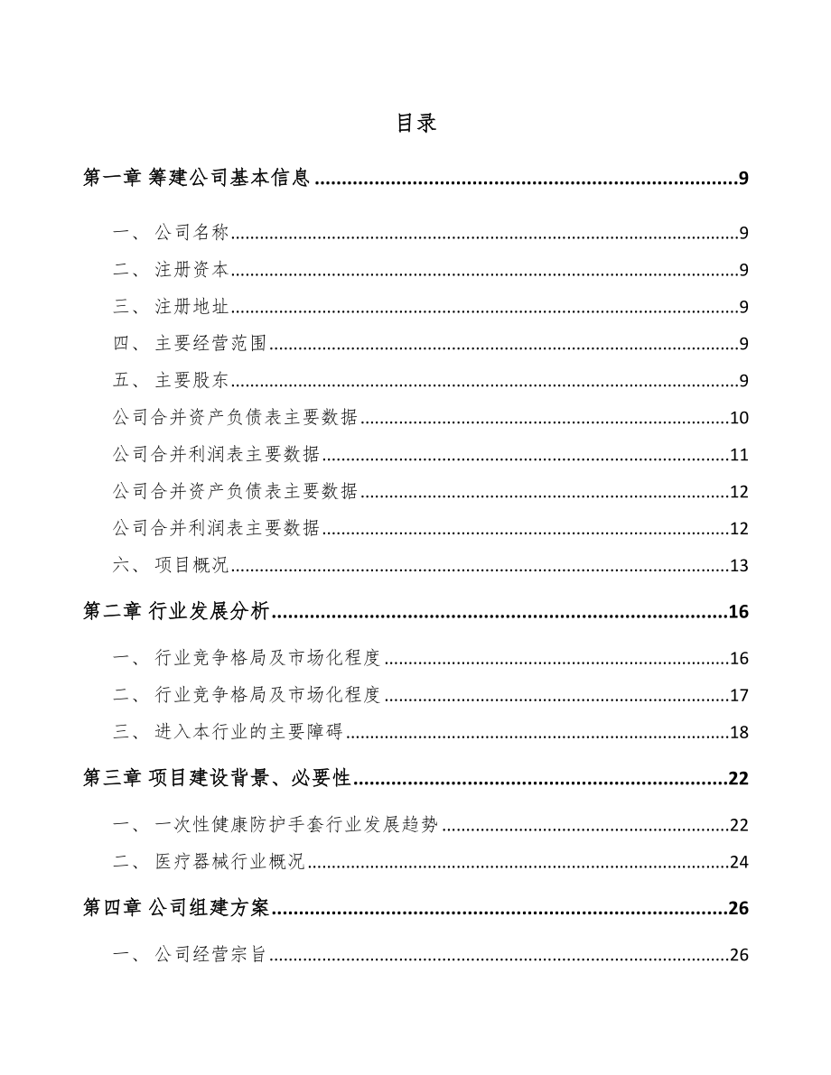 宁波关于成立一次性医用手套公司可行性研究报告.docx_第2页