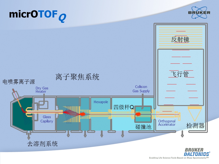 高分辨质谱仪全方位应用.ppt_第3页