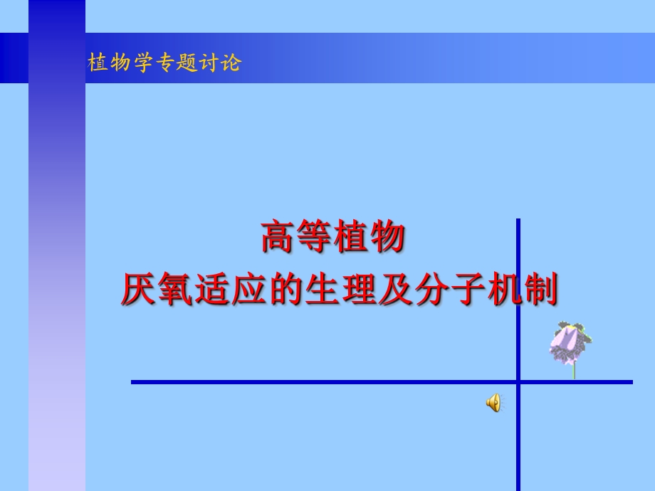 高等植物厌氧适应的生理及分子机制.ppt_第1页