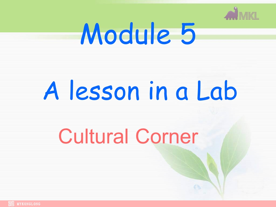 高一英语课件：Module5Corner(外研必修1).ppt_第1页