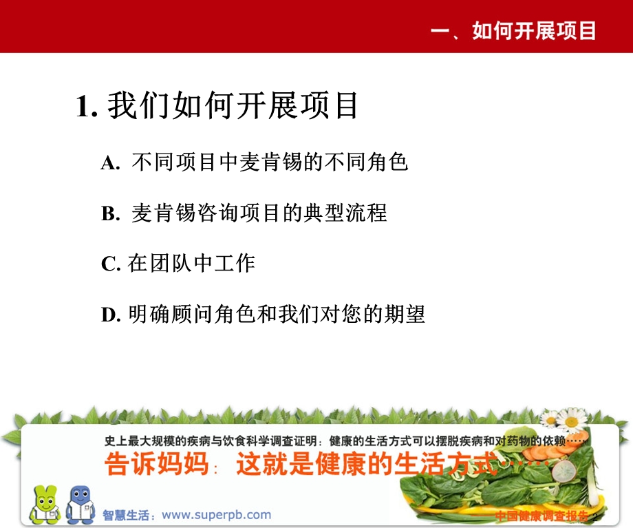 麦肯锡如何开展项目.ppt_第3页