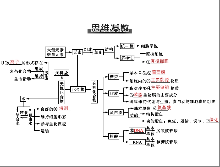 高三生物复习课件：专题一第1讲细胞的物质基础.ppt_第3页