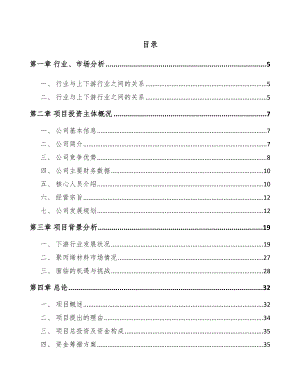 太原高分子复合材料项目可行性研究报告.docx