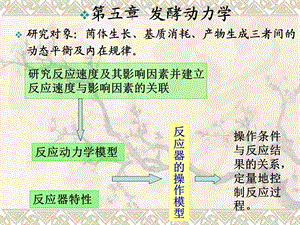 《发酵动力学》课件.ppt