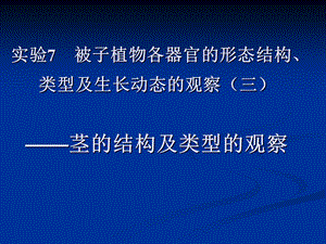 实验6被子植物各器官的形态结构.ppt