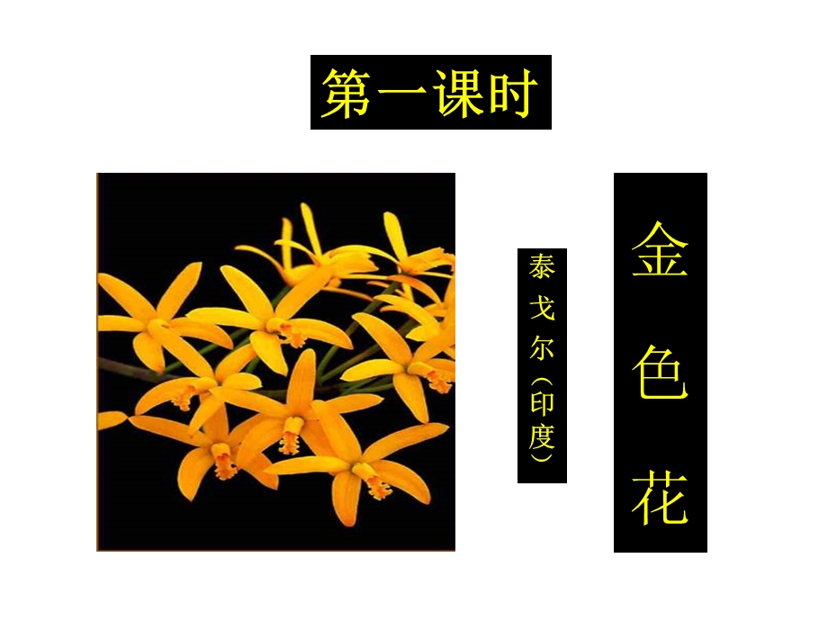 诗两首金色花(泰戈尔).ppt_第1页