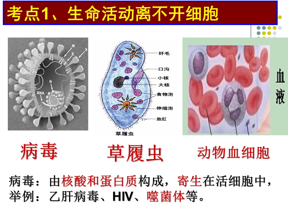 高二生物学考复习课件按考点编写必修一章.ppt_第3页