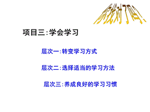 知识让人生更亮丽-学会学习.ppt