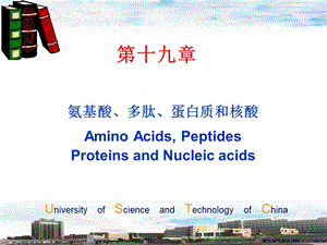 有机化学19-氨基酸、多肽、蛋白质和核酸.ppt