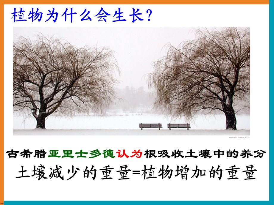 《光合作用的原理和应用》教学课件.ppt_第2页