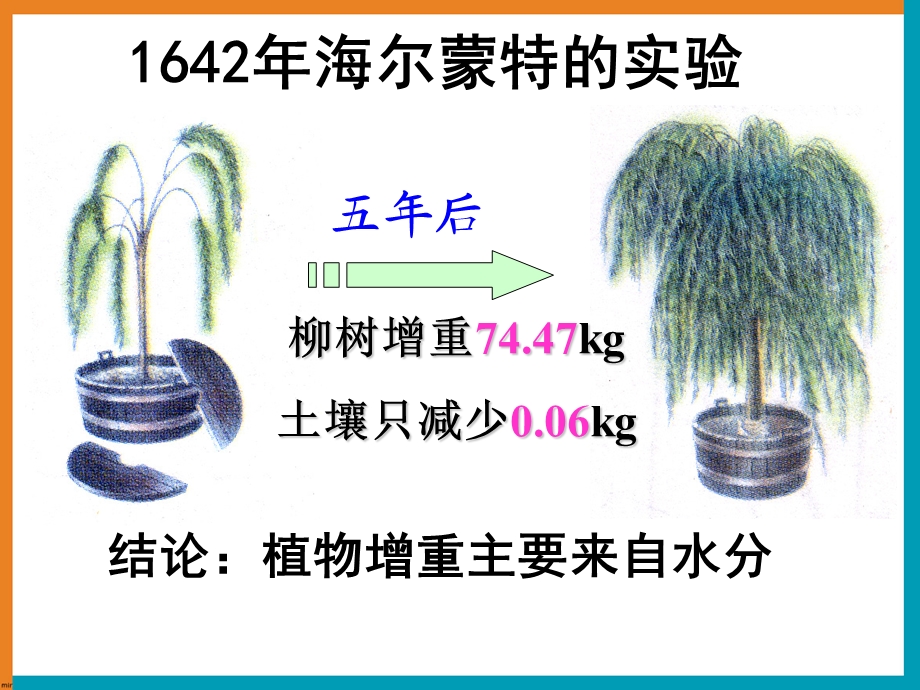 《光合作用的原理和应用》教学课件.ppt_第3页