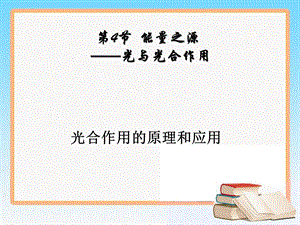 《光合作用的原理和应用》教学课件.ppt