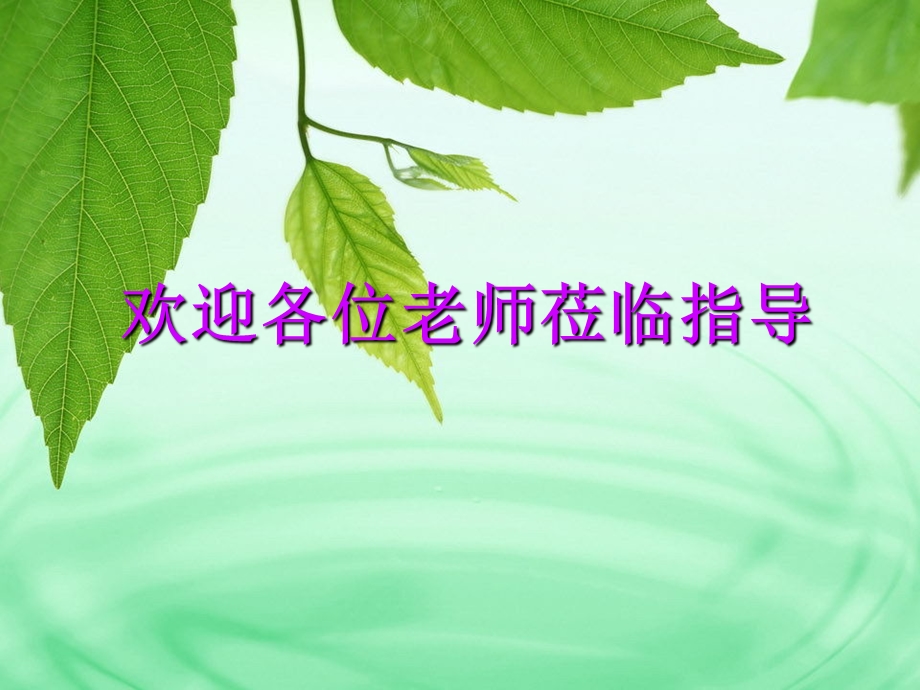 孟德尔分离定律公开.ppt_第1页