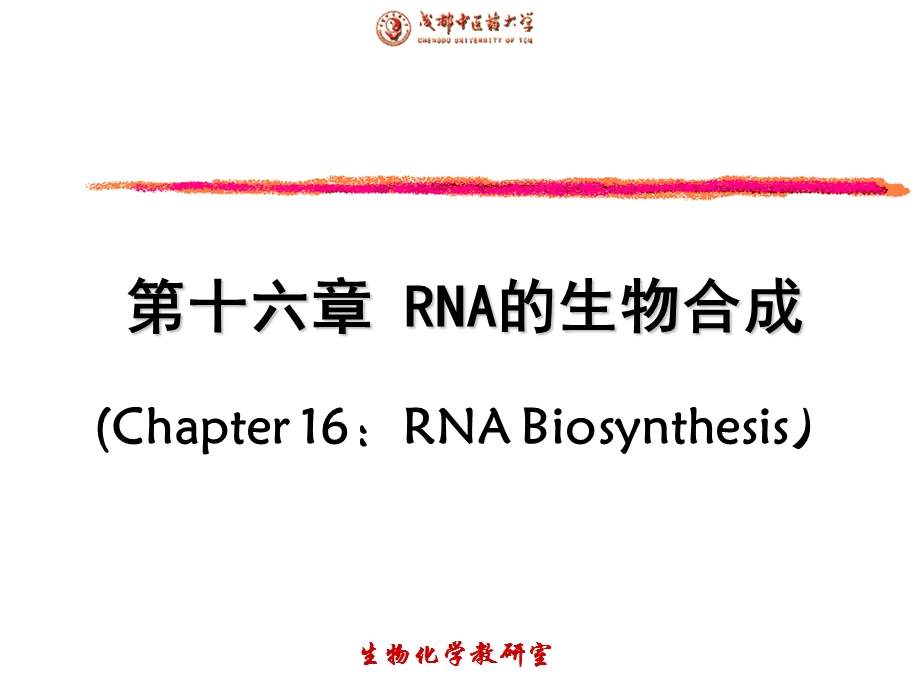 《RNA的生物合成》课件.ppt_第1页