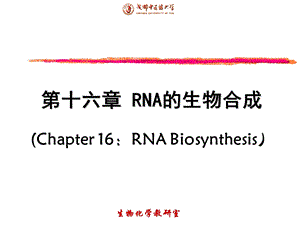 《RNA的生物合成》课件.ppt