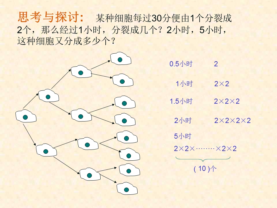 鲁教版有理数的乘方.ppt_第3页