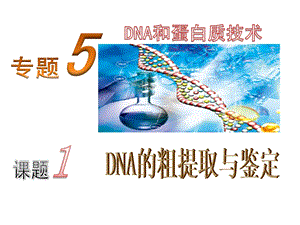 《DNA的粗提取与鉴定》课件.ppt