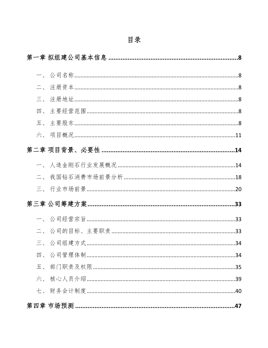 宁夏关于成立金刚石公司可行性研究报告.docx_第2页