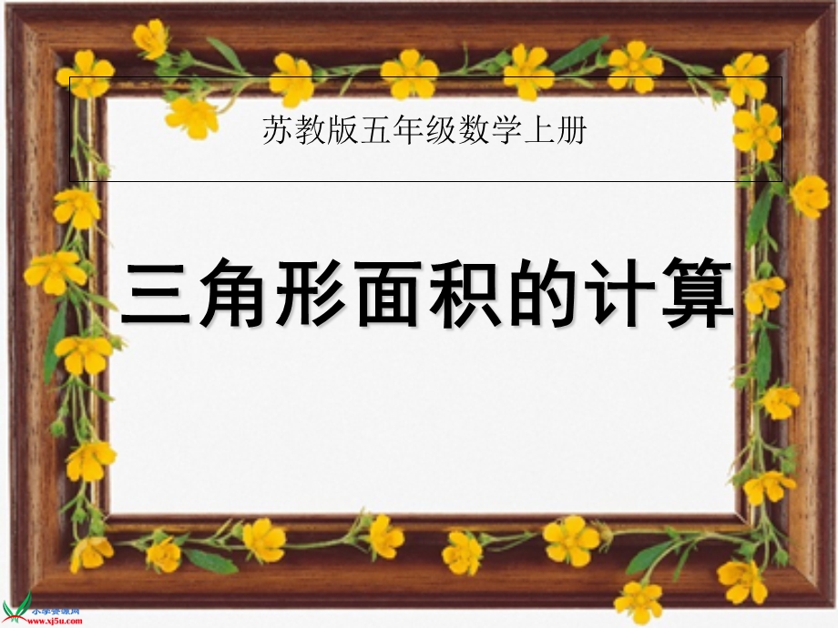 《三角形面积的计算》.ppt_第1页