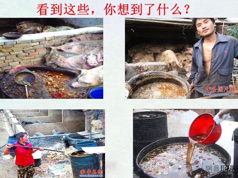 “节约每一粒粮食-反对浪费”主题班会.ppt_第3页