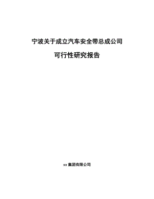 宁波关于成立汽车安全带总成公司可行性研究报告.docx