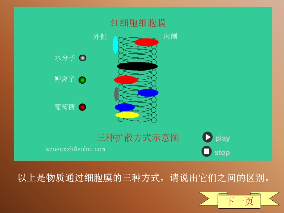 高一生物细胞膜的结构和功能.ppt_第1页