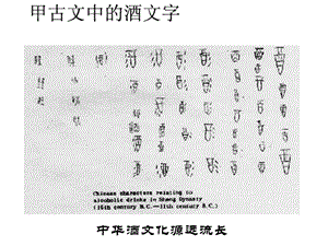 高二生物传统发酵技术上.ppt