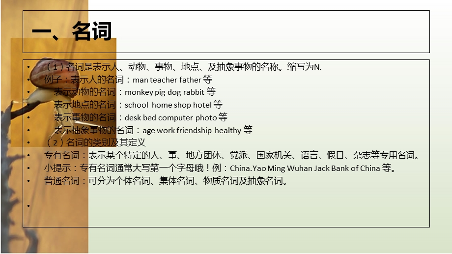 小学英语总复习-名词.ppt_第2页