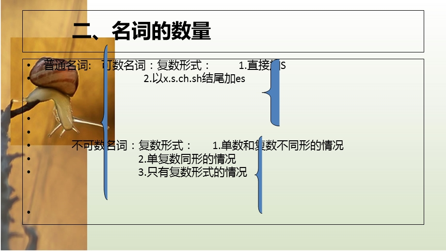 小学英语总复习-名词.ppt_第3页