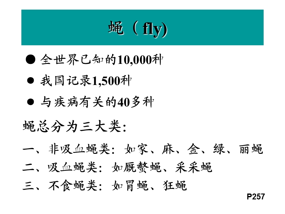 《制节肢动物》课件.ppt_第2页