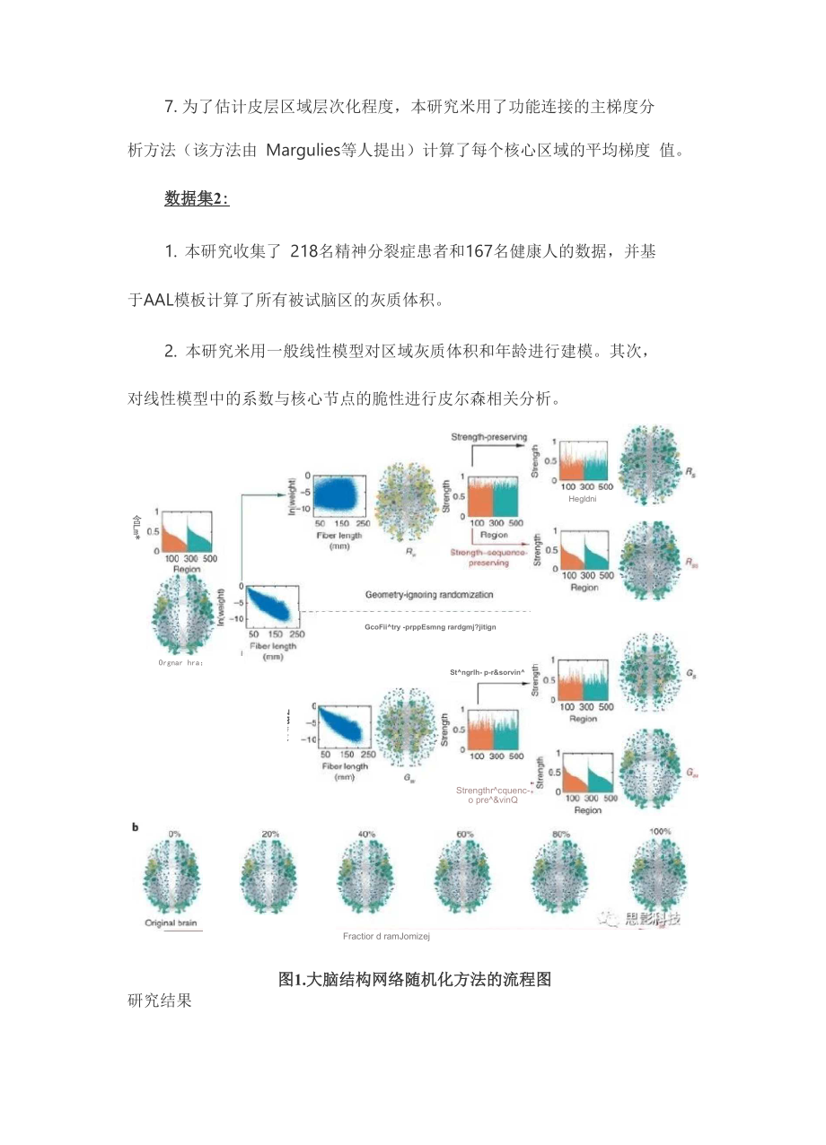 人脑结构连接组核心节点的脆性和可变性.docx_第3页