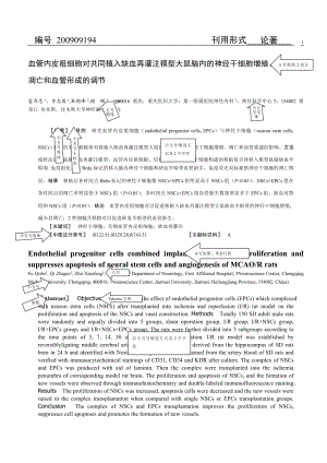 25血管内皮祖细胞对共同植入缺血再灌注模型大鼠脑内的神经干细胞增殖、.doc