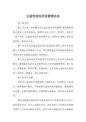 公益性岗位开发管理办法.docx