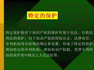 law第八讲　知识产权保护理论问题研究PPT文档.ppt