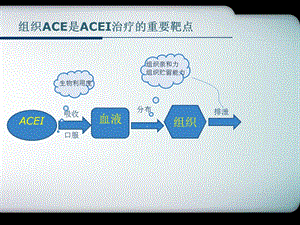 acei临床应用进展精选文档PPT文档.ppt