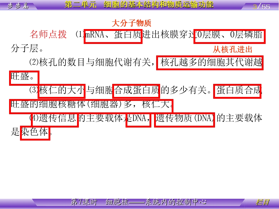 最新：D元 第7课时 细胞核文档资料.ppt_第3页