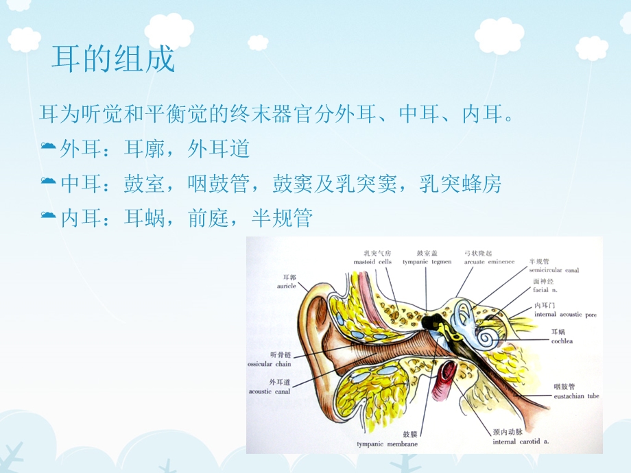 医学影像耳的影像解剖及常见疾病诊断文档资料.ppt_第1页