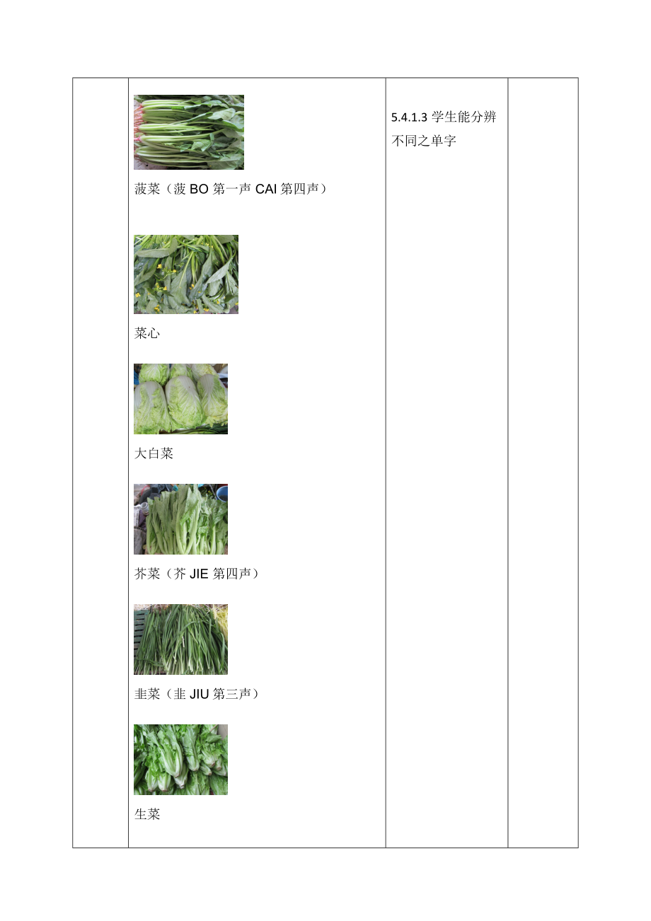 《蔬菜的认识》梁汝添(1).doc_第3页