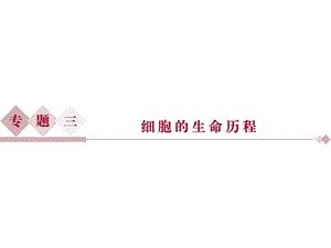 专题31细胞的增殖和受精作用.ppt