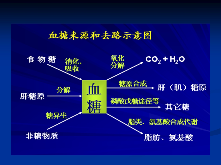 ppt课件糖尿病饮食与营养PPT文档.ppt_第3页