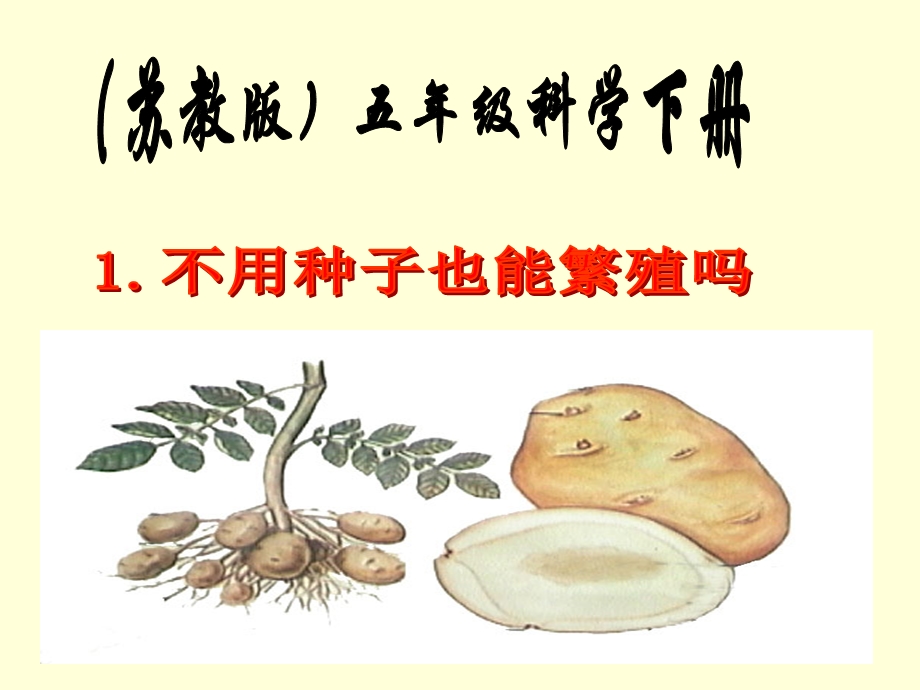 不用种子也能繁殖吗？（PPT）.ppt_第1页