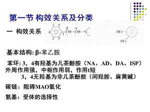 B10肾上腺素受体激动文档资料.ppt