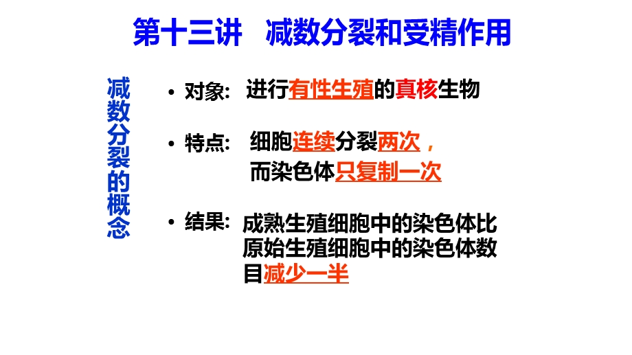 一轮复习减数分裂和受精作用.ppt_第1页