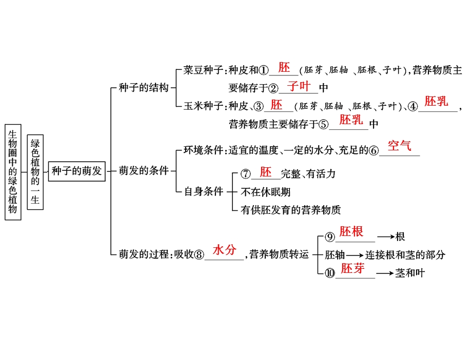 中考生物学专题知识整合·专题三生物圈中的绿色植物.ppt_第2页