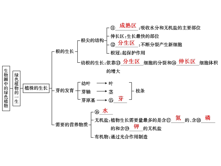 中考生物学专题知识整合·专题三生物圈中的绿色植物.ppt_第3页