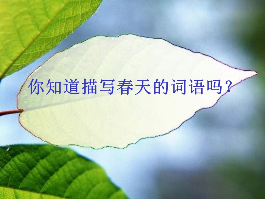 一年级语文下册教案_《春雨的色彩》.ppt_第2页