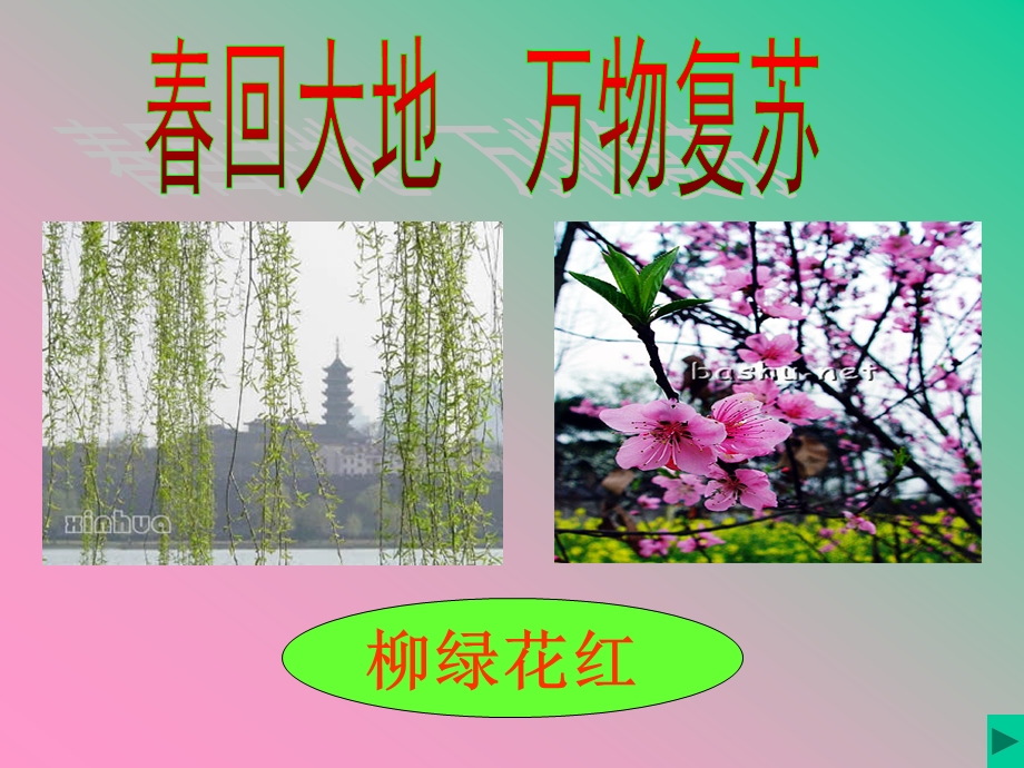 一年级语文下册教案_《春雨的色彩》.ppt_第3页