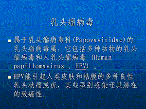 人乳头瘤病毒hpvppt课件文档资料.ppt